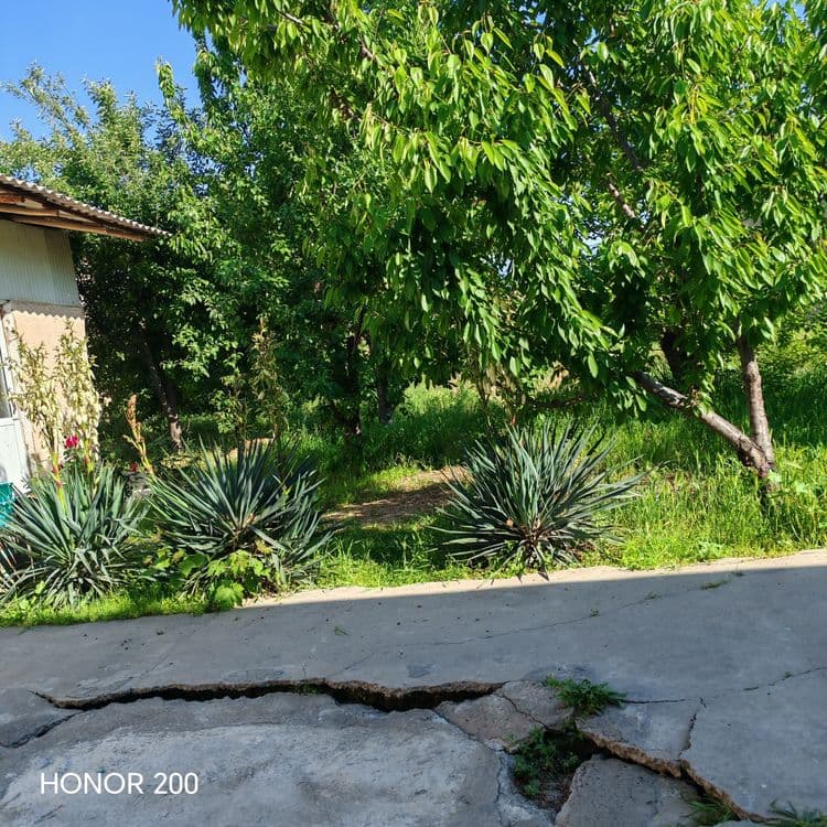 Ер сотилади 4 сотик — 1