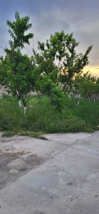 Продаётся земельный Участок 6 соток — 1