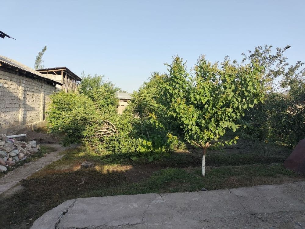 Shinam va qulay uy sotiladi Hamma sharoit bor suv gaz svet mavjud — 4