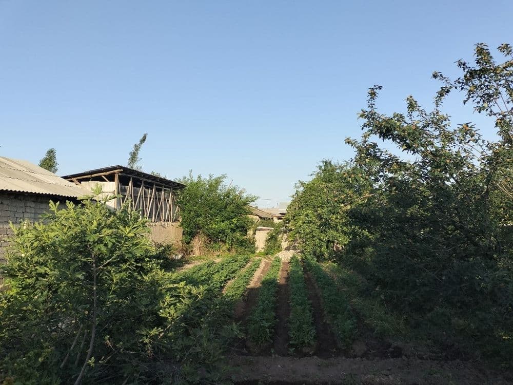 Shinam va qulay uy sotiladi Hamma sharoit bor suv gaz svet mavjud — 5