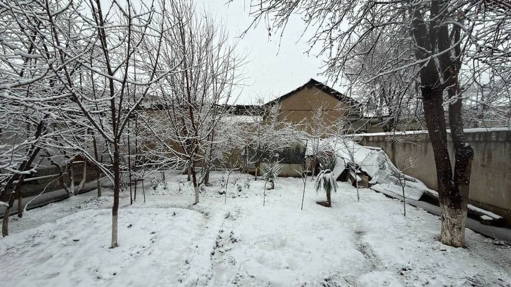 Шошилинч Участка сотилади Samarkand darvoza, Shayxontohur tumani 3.68 — 2