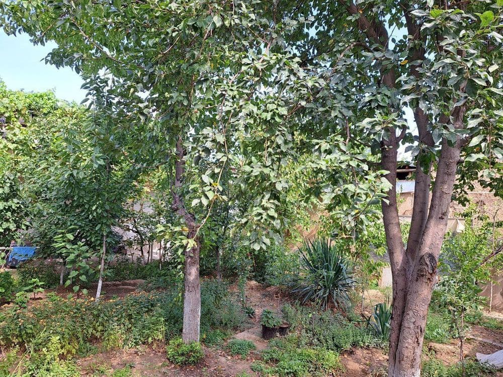 Шошилинч Участка сотилади Samarkand darvoza, Shayxontohur tumani 3.68 — 4