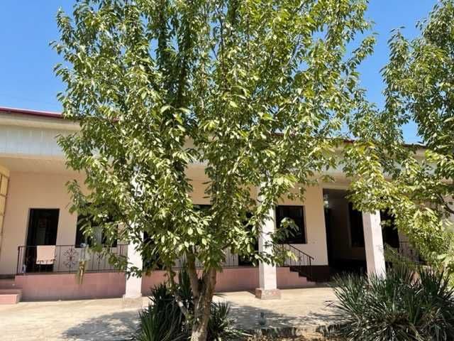 Kim Pen Xva, Tayyor hovli sotiladi, 6 sotix !     金品花 · 出售现成庭院，6亩！ — 3