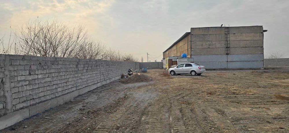 Куйчирчикский район, база, 59соток, Уччинор, Аккурган — 5