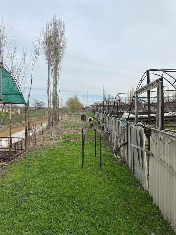 Йер сотилади теплица 1 гектар,оккургонда центрда. — 3