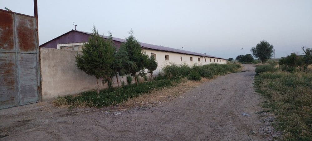 Mol boqishga mo'ljalanga fermer xo'jaligi — 2