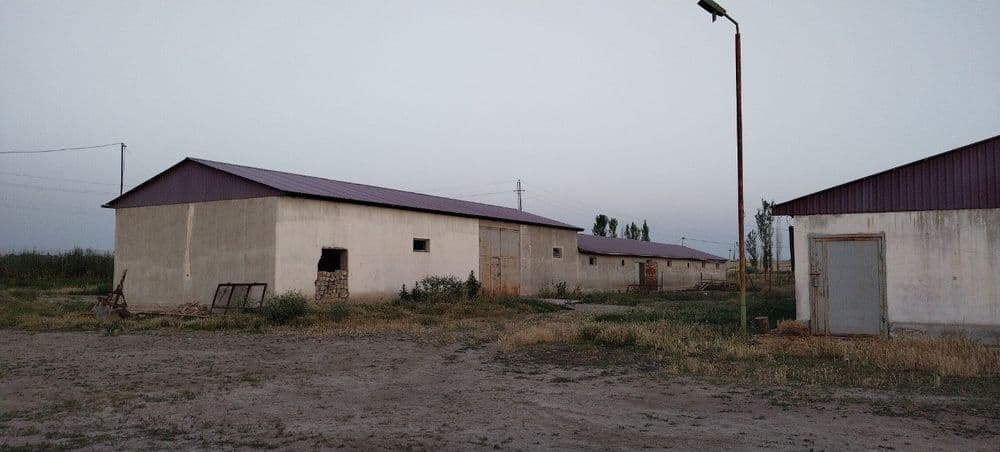 Mol boqishga mo'ljalanga fermer xo'jaligi — 3
