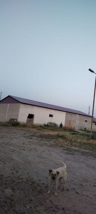 Mol boqishga mo'ljalanga fermer xo'jaligi — 5