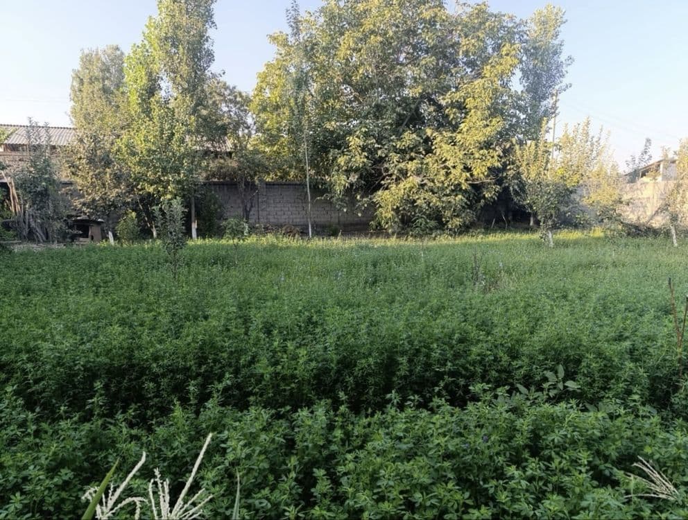Земля 21 сотка Геофизика — 3