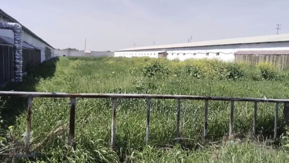 Срочно Продается Две Фермы Чирчик — 2