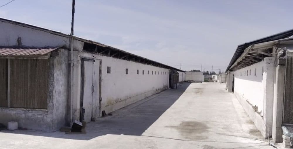 Срочно Продается Две Фермы Чирчик — 3