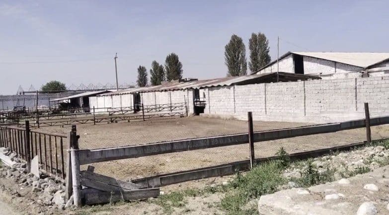 Срочно Продается Две Фермы Чирчик — 4