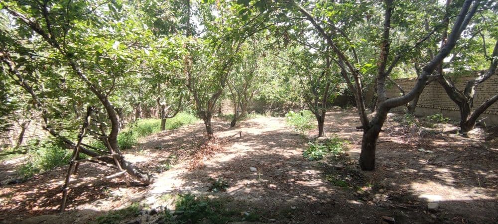 Hovli uy 6sotik 2 etajkaAndijon tuman Terak tagi MFY Yuksak kochasi — 2