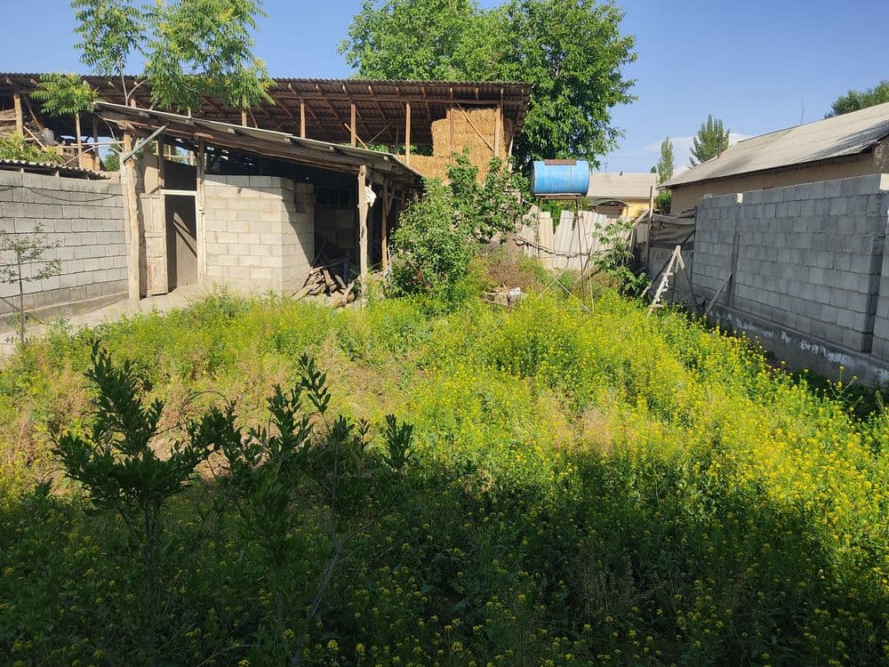 3 Sotik Er Sotiladi Zudlik Bilan Kadastri Bor — 2