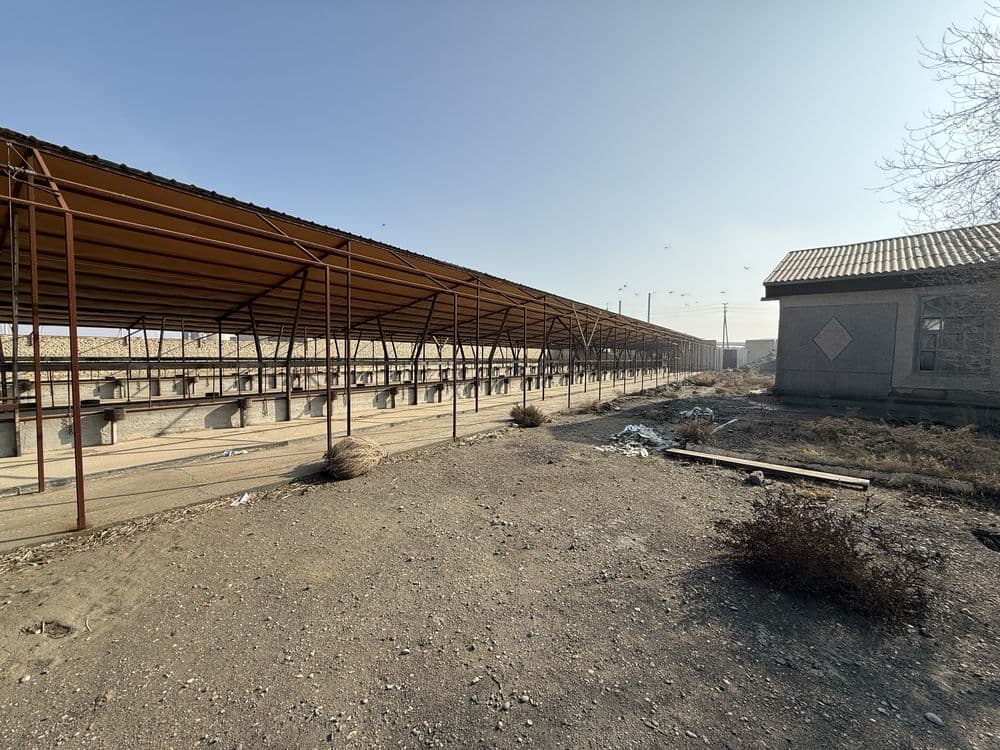келишамиз срочно Мол ферма сотилады 57000 kv m , skladi bor — 7