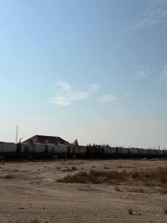 1,5 gektarli joy sotiladi #a304 — 5
