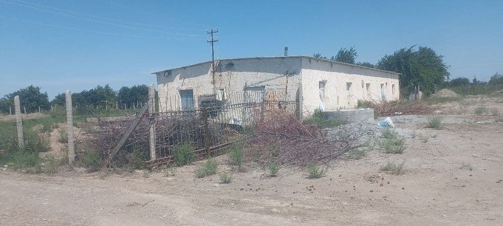 Tovuq xona molxona sotiladi srochniga — 2