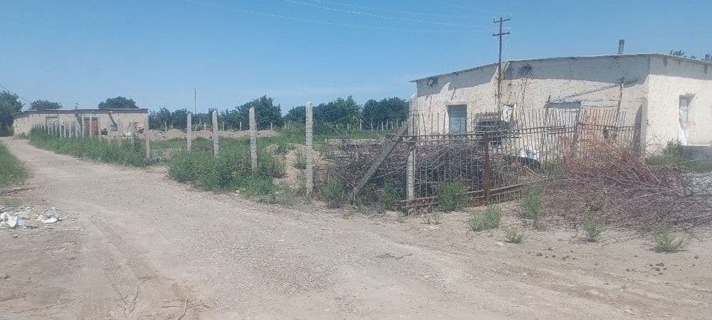 Tovuq xona molxona sotiladi srochniga — 3