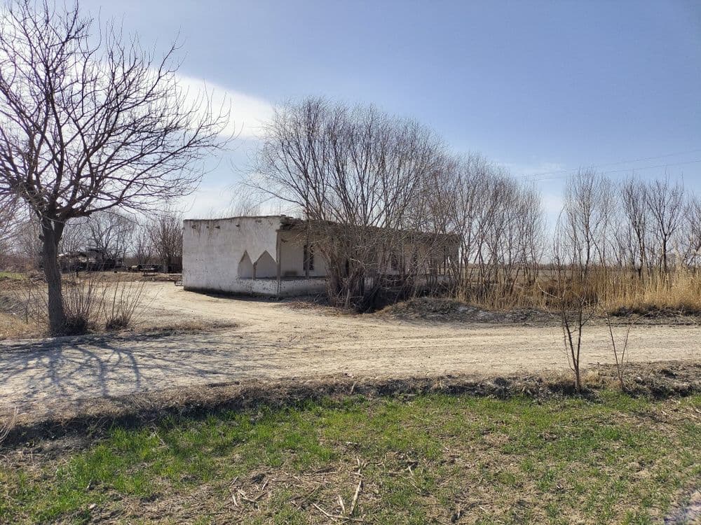 Mol-mulk Dala hovli — 1