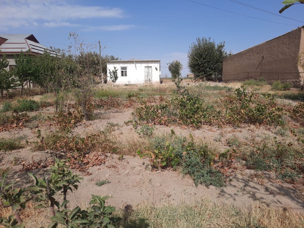 Dacha sotiladi. Forish tumani. Xonbandi shaharchasi. Bodomzor mahalla — 8