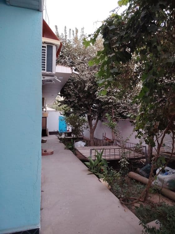 Talabga javob beradi holati judaym ZUR. — 3