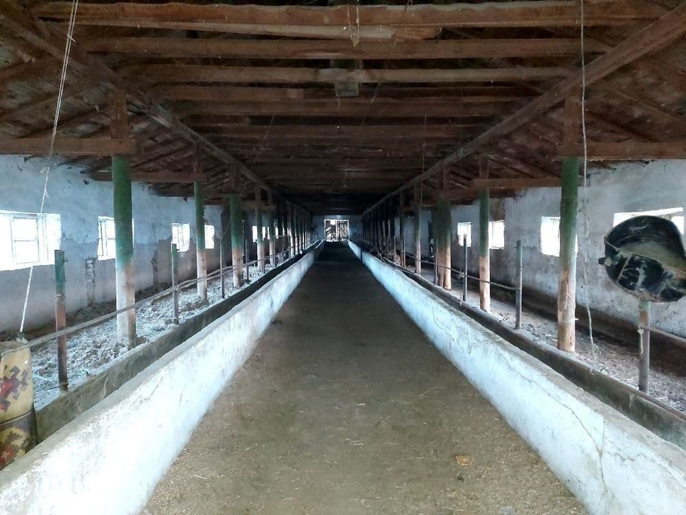 ferma — 1