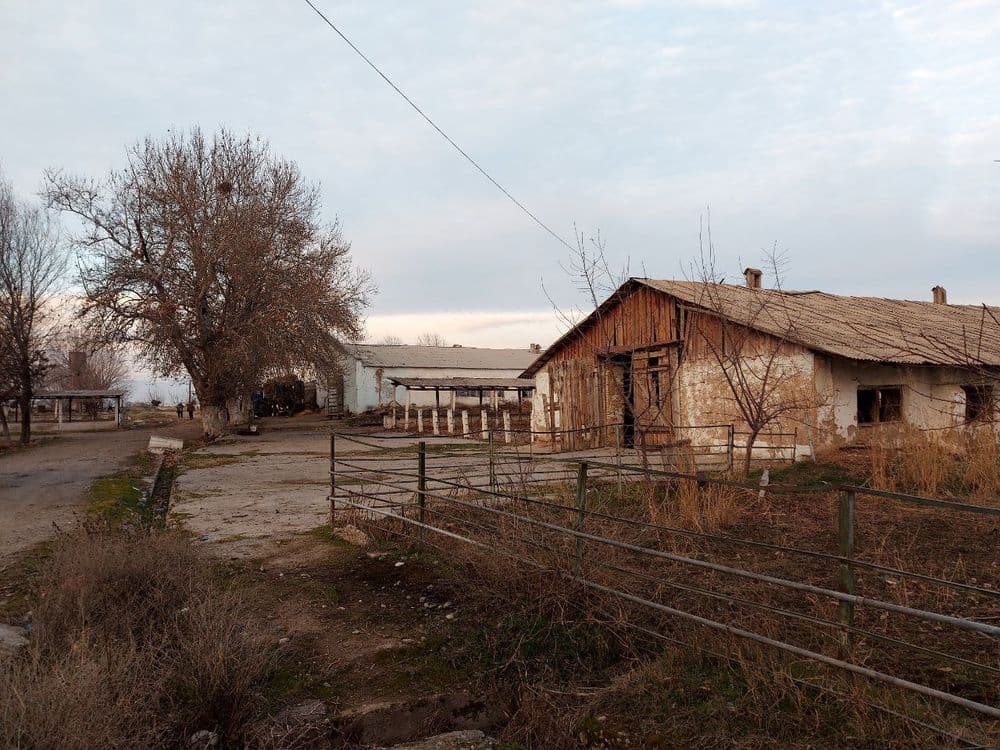 ferma — 2