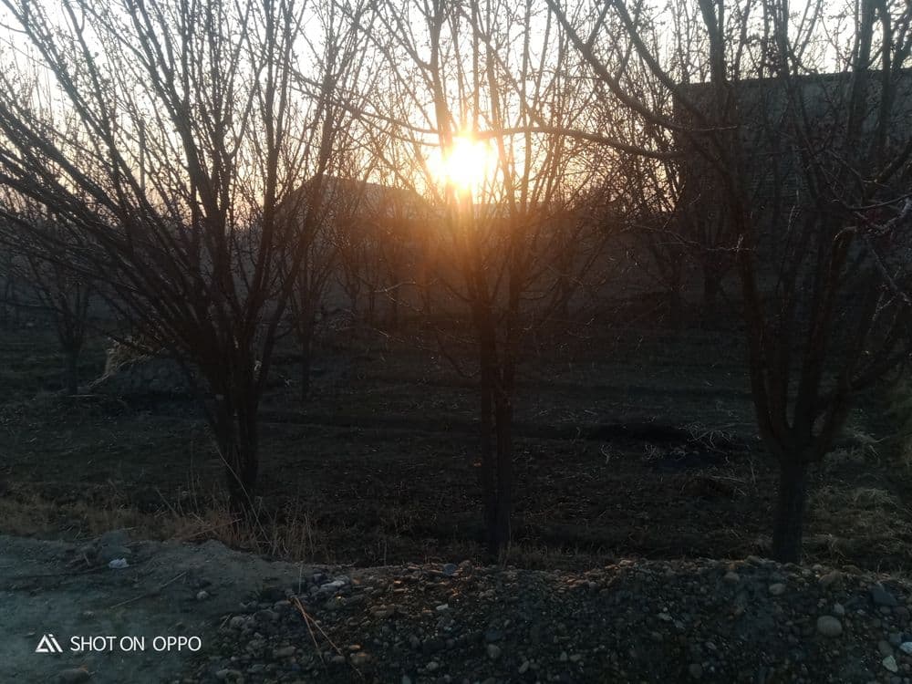 7 sotixli yer sotiladi yuli bn birga Tavoisda narxini keliwamiz — 4
