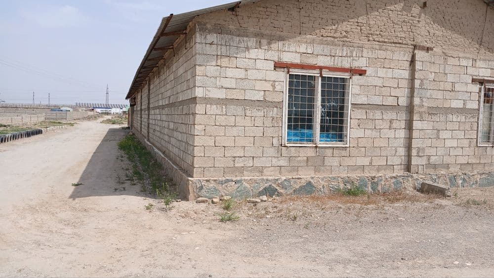 Срочно продается База в Тинчлике — 1