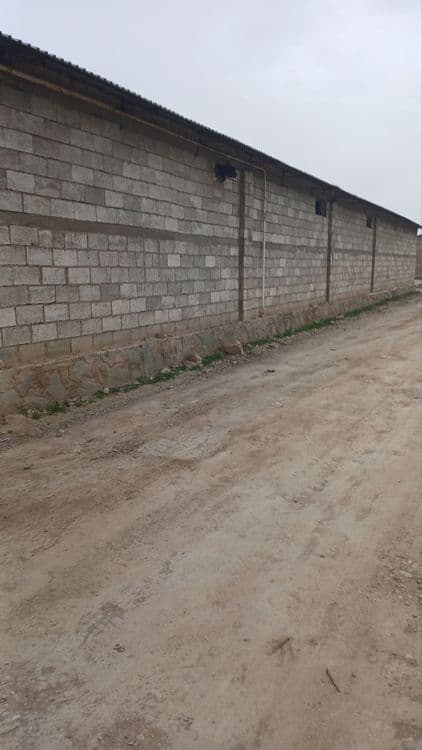 Срочно продается База в Тинчлике — 3