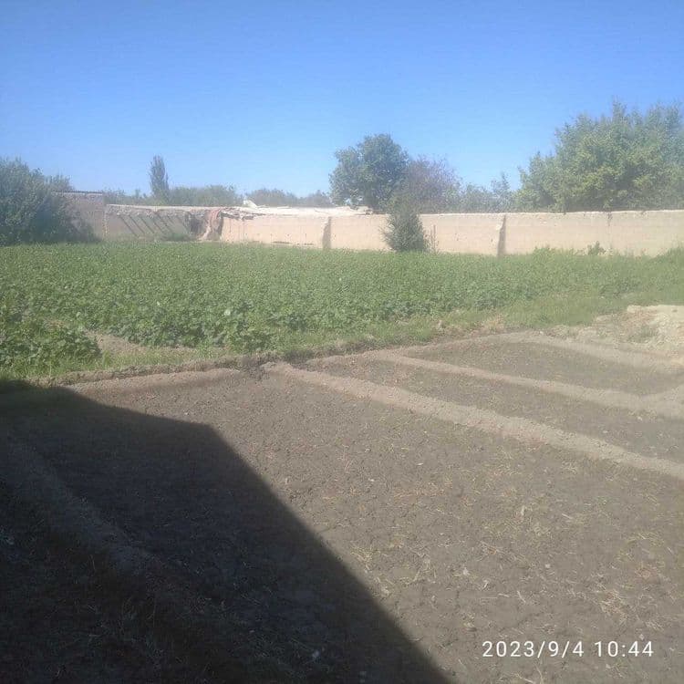 Navoiy viloyat Navbahor tumani G'ujboqtepa mahallasidan hovli sotiladi — 4