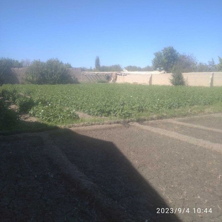 Navoiy viloyat Navbahor tumani G'ujboqtepa mahallasidan hovli sotiladi — 5