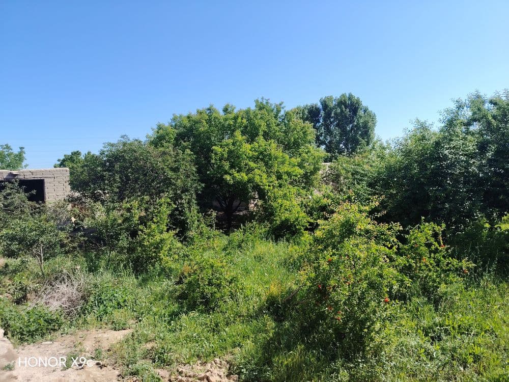 Karmana tumani Yangi obod MFY 10 sotix yer sotiladi mol ayvonlar — 3