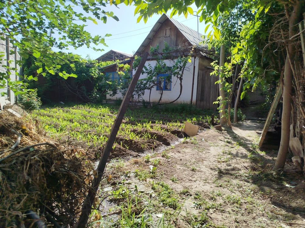 Sotiladi dacha sputnik — 4
