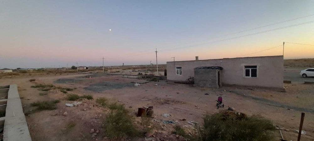 Naturaq jay satiladi, .Biznes ushin — 1