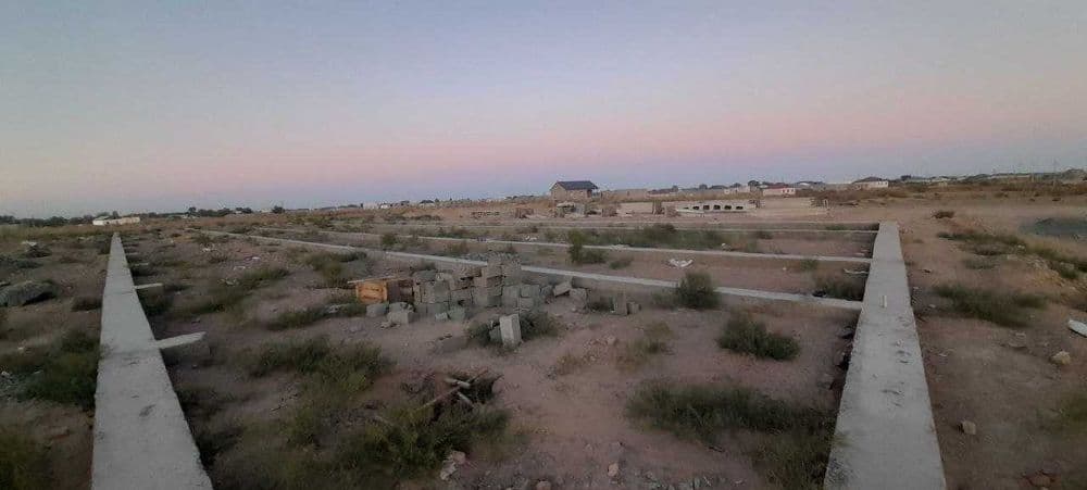 Naturaq jay satiladi, .Biznes ushin — 2