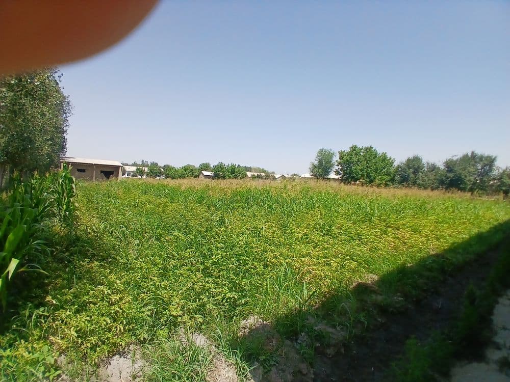 Srochno Yer sotiladi — 4