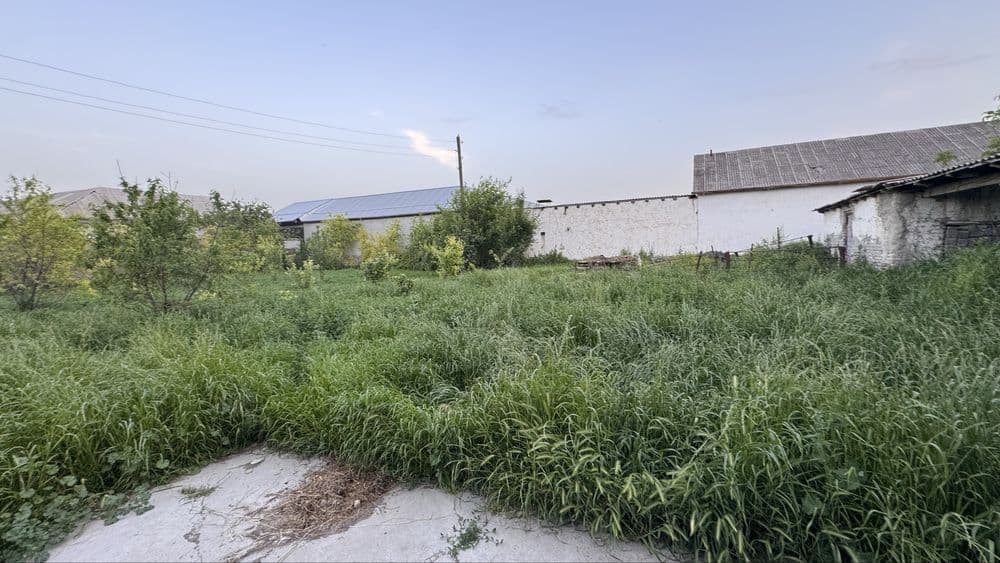 Ishtixon tuman ishtixon kuchasi charos restarani yonida — 4