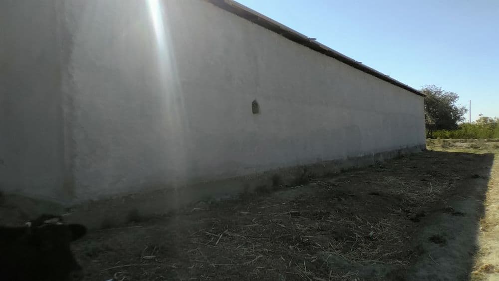 Joy sotiladi skalad — 4