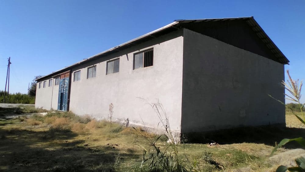 Joy sotiladi skalad — 5