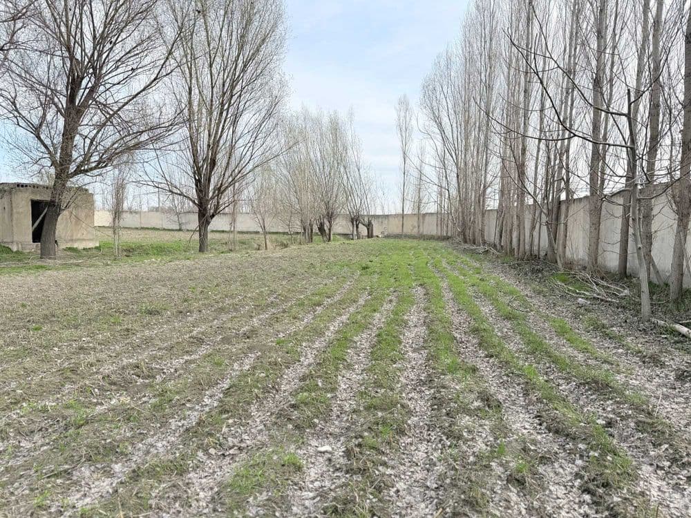 Yer oling — foyda qiling! — 1