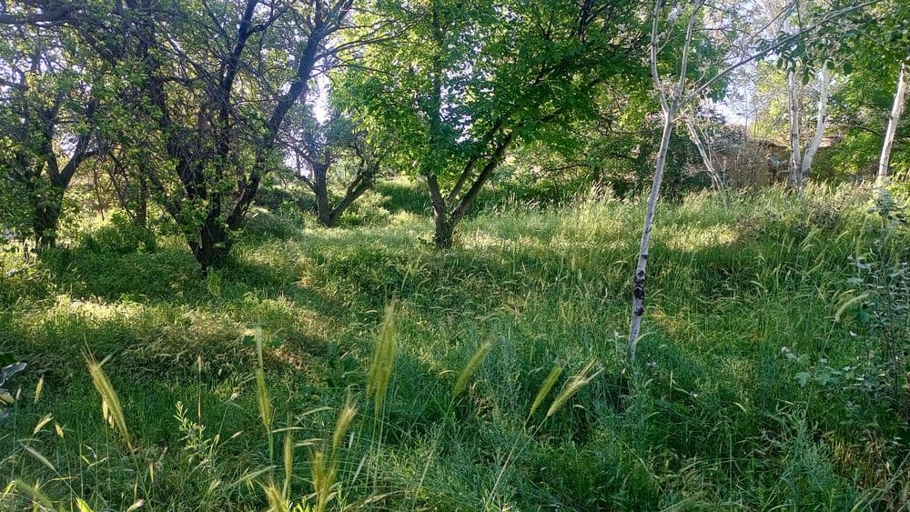 Продается земельный участок — 1