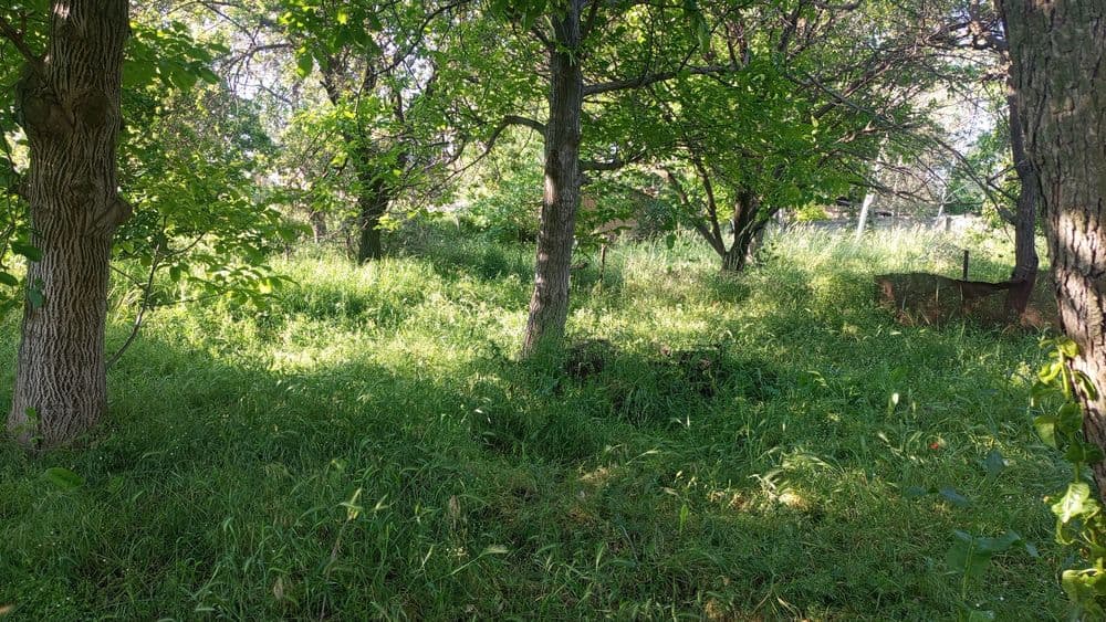 Продается земельный участок — 5
