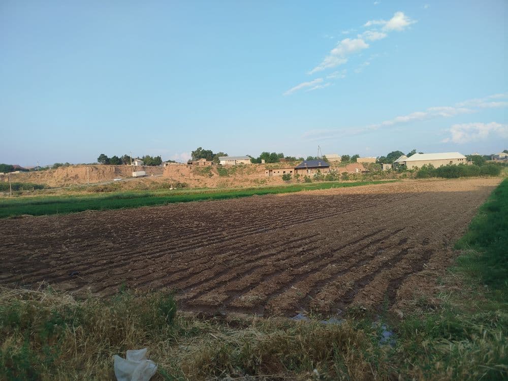 Tomorqa sotiladi — 1