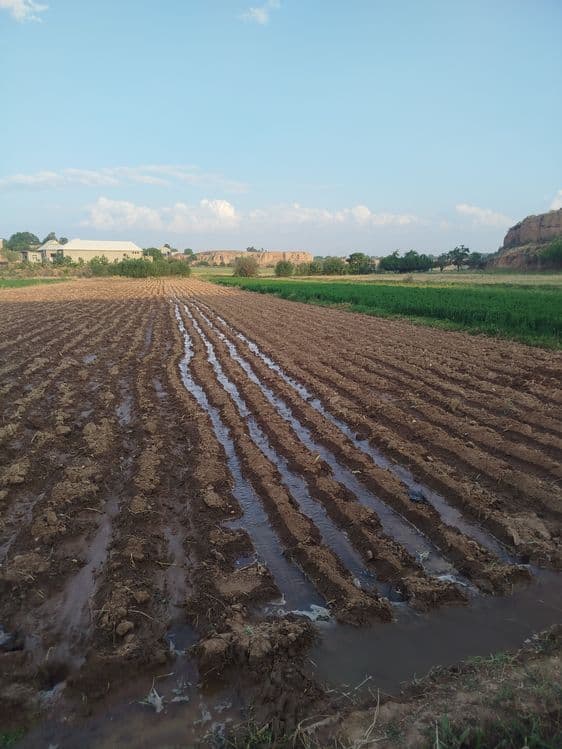 Tomorqa sotiladi — 3