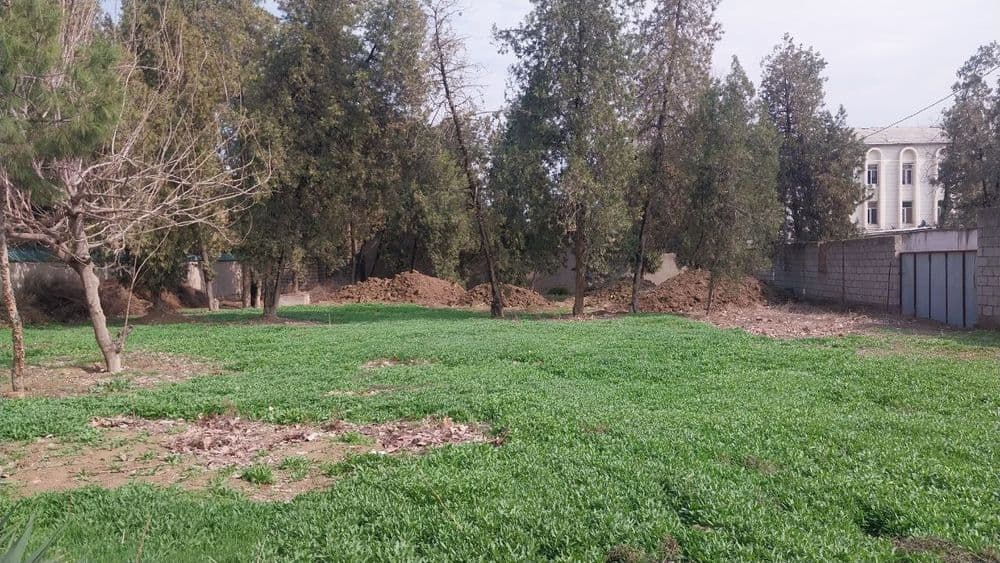 Tadbirkorlik va yashash uchun 10 sutuģ er maydoni va 4 xonali bino — 4