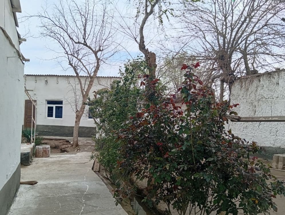 7 hona uy 23 sotix erli hovli sotiladi — 2