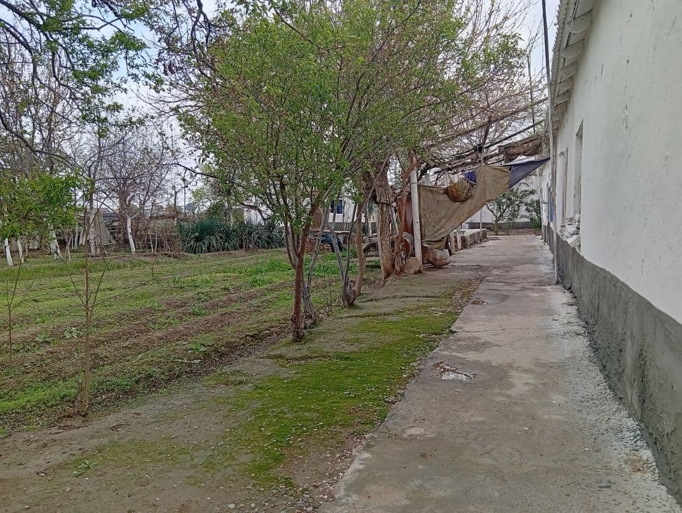 7 hona uy 23 sotix erli hovli sotiladi — 5
