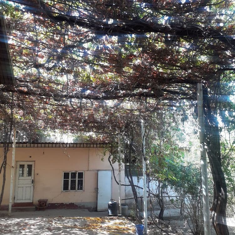 Keng katta barcha qulayliklarga ega honadon sotiladi — 7