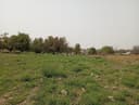 Bandixon tuman markazida. 50 sotix uy joy qurish va dehqonchilik maqsa